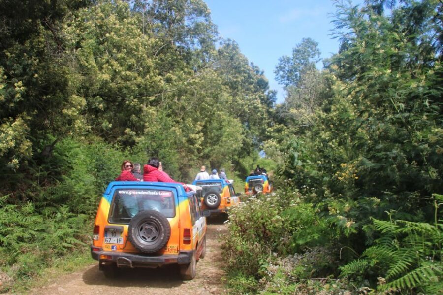 Madeira: Wine & Tapas, Cabo Girão Skywalk 4x4 Jeep Adventure - Price and value: what $59 covers, plus the two on-the-spot fees