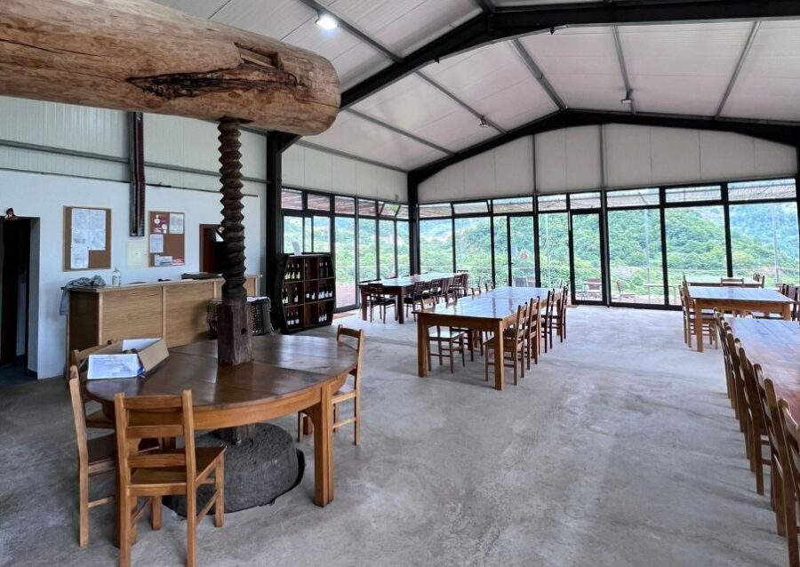Madeira: Wine Tasting Guided Tour, Jeep Safari, & Viewpoints - Inside the Jeep Safari: why the small group feels personal