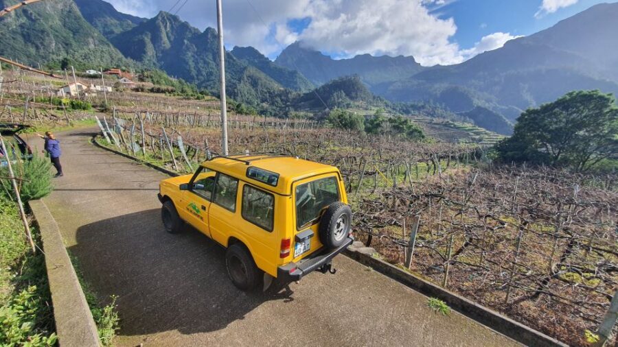 Madeira: Wine Tasting Guided Tour, Jeep Safari, & Viewpoints - Price and what you really get for $94