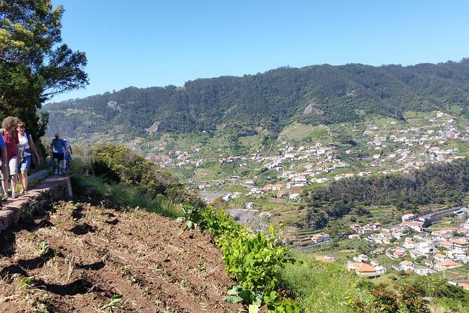 Maroços - Mimosa Valley - Maroços–Mimosa Valley: why this Madeira walk feels calmer than it looks