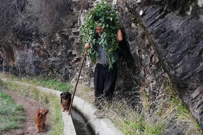 Maroços - Mimosa Valley - Who should book this hike, and who might want a different plan