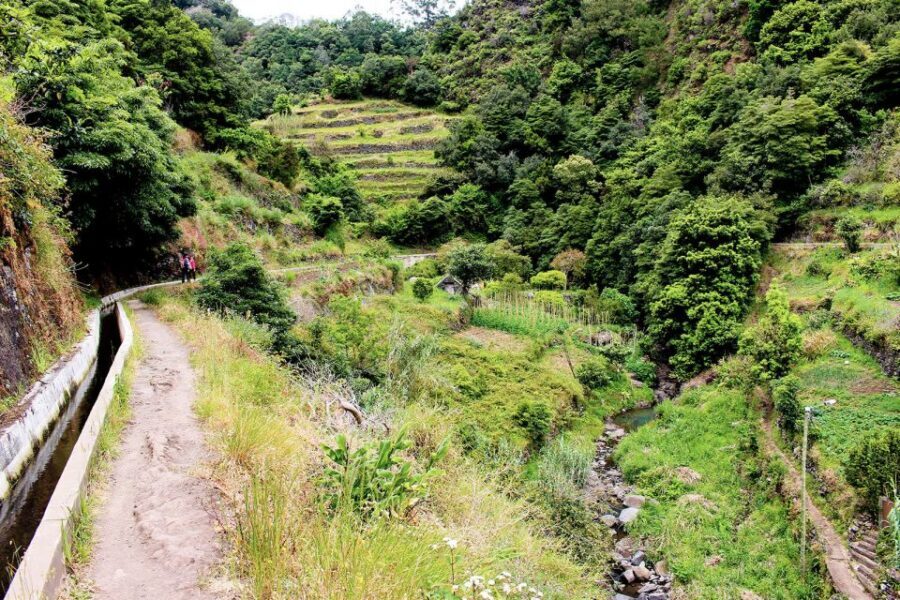 Maroços / Mimosa Valley - Levada Walk - Machico’s Mimosa Valley: a levada walk that feels grounded