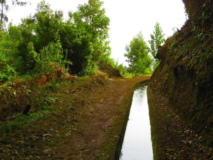 Maroços / Mimosa Valley - Levada Walk - Levada dos Maroços: how the water story shapes everything