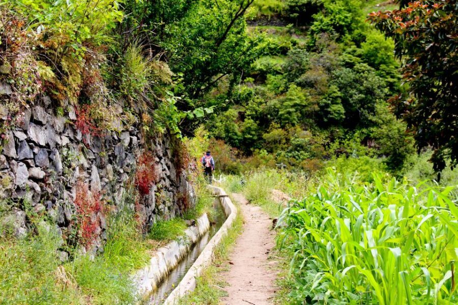 Maroços / Mimosa Valley - Levada Walk - Price and value: why $38 for 4 hours can make sense