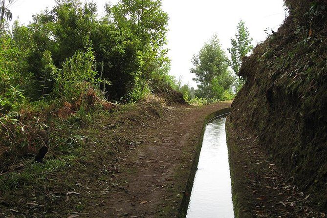Maroços Mimosa Valley Levada Walk from Funchal - Key highlights worth planning around