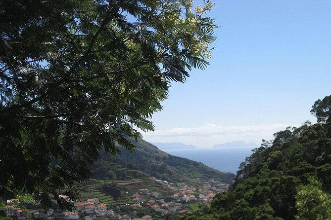 Maroços Mimosa Valley Levada Walk from Funchal - Why this levada walk feels practical (not just pretty)