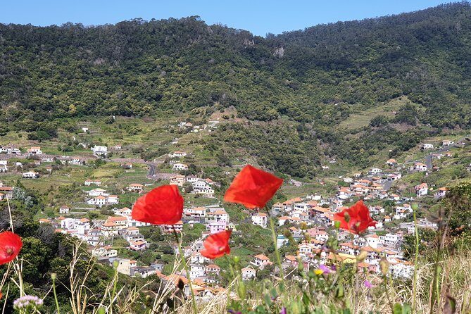 Maroços - Mimosa Valley - Old aqueducts and levadas: what you’ll actually walk along