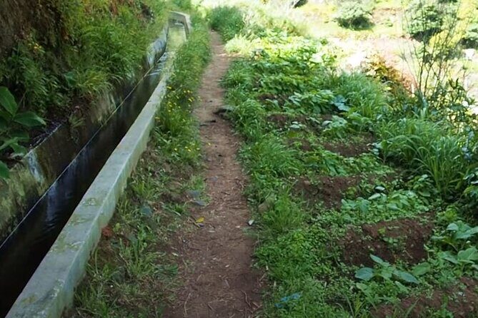 Mimosa Valley Walk - Where You Start in Funchal (And Why It Matters)