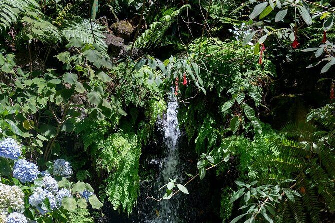 Monte Palace Tropical Garden tour with Cable Car - Cable Car Up Above Funchal: Your Scenic Warm-Up