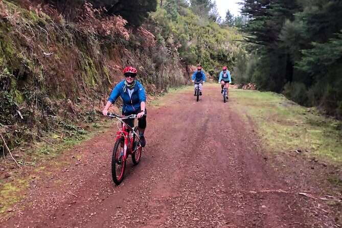 Mountain Biking Tour - Beginner Easy - What to Bring and Wear for Madeira Trail Conditions