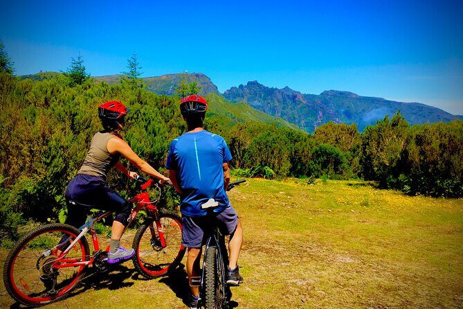 Mountain Biking Tour - Beginner Easy - Poiso Area Starts the Day: Views, Descent, and a Clean Mental Setup
