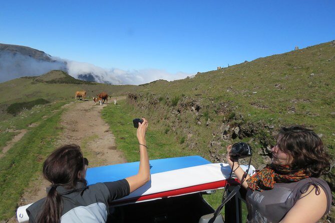 Northeast 4x4 Santana and Landscapes Day Trip - Who should book this 4x4 Santana and Northeast tour