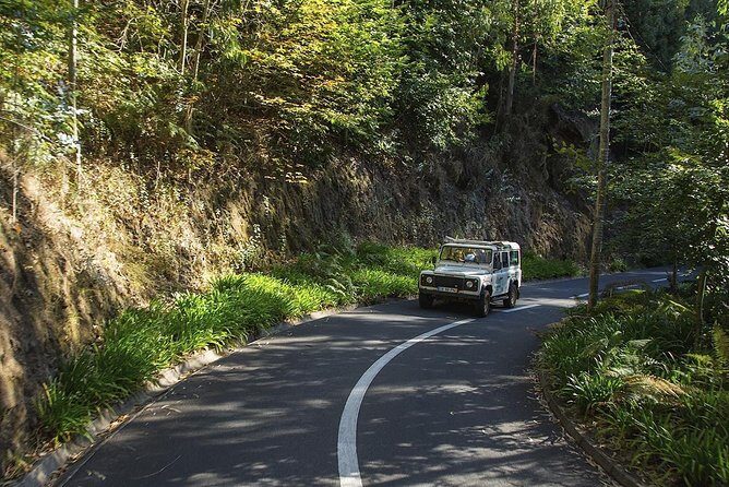 Nun's Valley & Sea Cliff - Half Day - Shared Tour - Curral das Freiras viewpoints: where the valley’s story lives