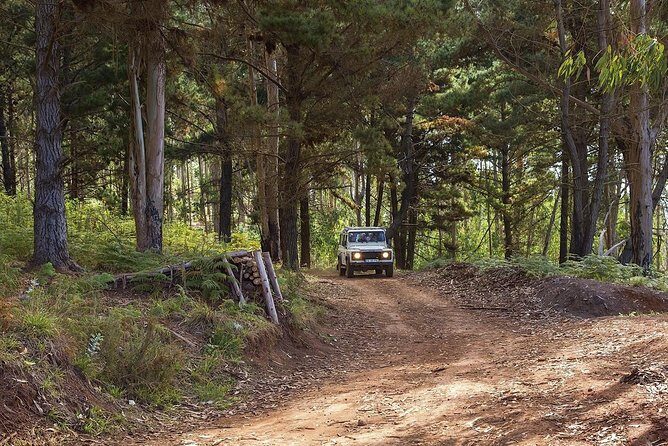 Nun's Valley & Sea Cliff - Half Day - Shared Tour - The Jeep ride reality check: comfort, motion, and heights