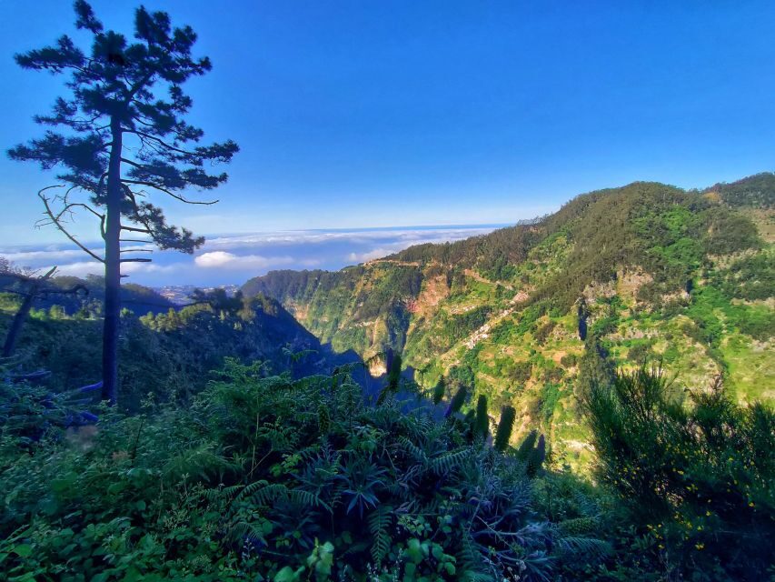 Nun's Valley - Stop 1: Pico dos Barcelos lookout above Funchal (15 minutes that matter)