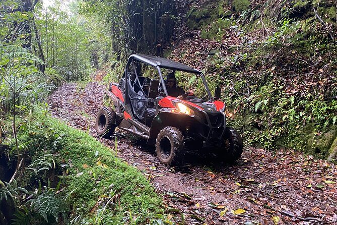 Off-Road Buggy Driving Experience - Should you book this Laurissilva off-road buggy tour?