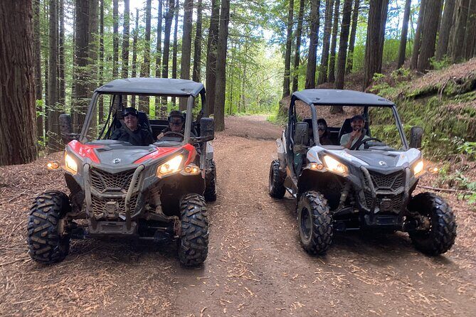 Off-Road Buggy Driving Experience - Stop in Laurissilva Forest: dirt paths, mud, and scenic moments