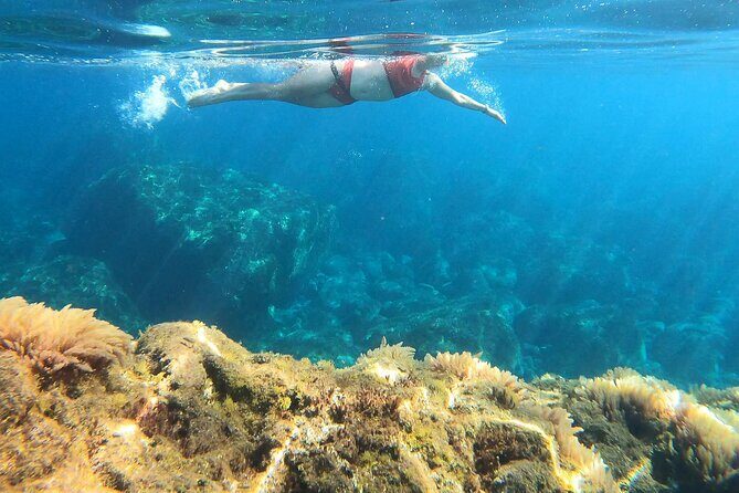 Open-Water Swimming in Madeira - Lido Galomar Meet-Up: Where Your Swim Starts Feeling Real