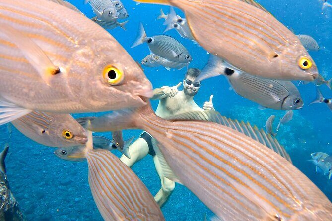 Open-Water Swimming in Madeira - Guide Support You Can Actually Feel in the Water