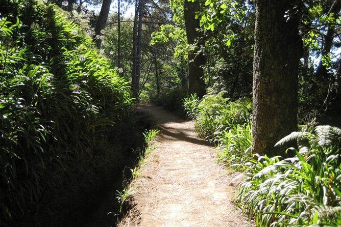 Paradise Valley - Levada Walk - Key highlights worth planning for