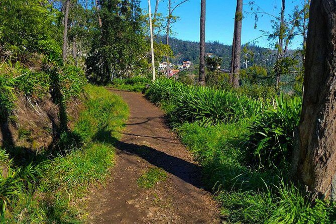 Paradise Valley - Levada Walk - From your hotel in Funchal to Choupana highlands