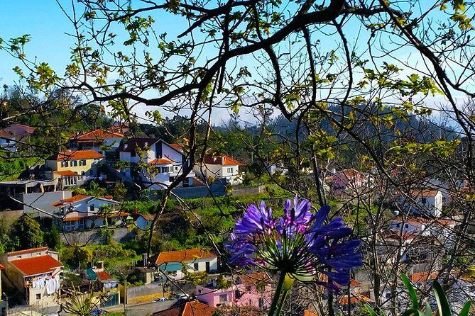 Paradise Valley - Levada Walk - The walking experience: easy pace, good footing, real-world weather
