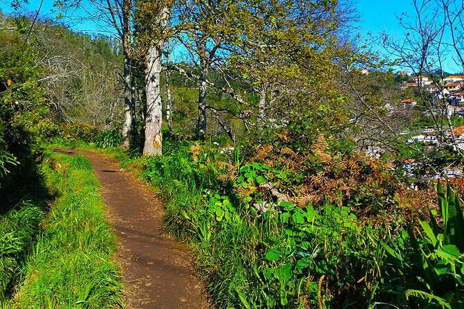 Paradise Valley - Levada Walk - Guides can make or break a nature tour, and this one often shines
