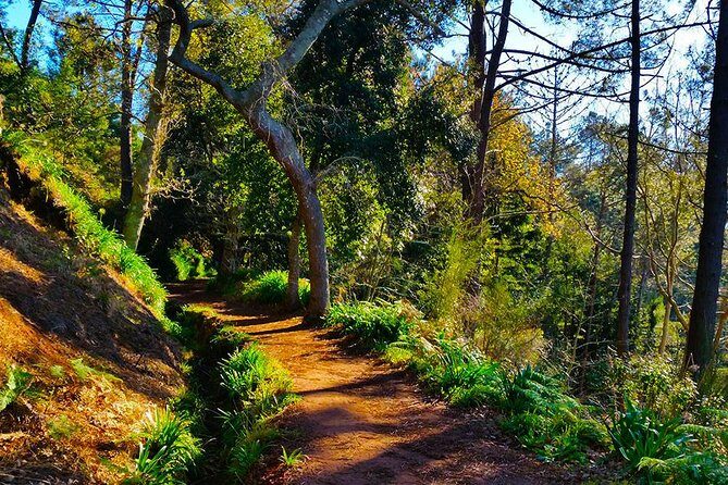 Paradise Valley - Levada Walk - Getting value for $39.54: what you’re really paying for