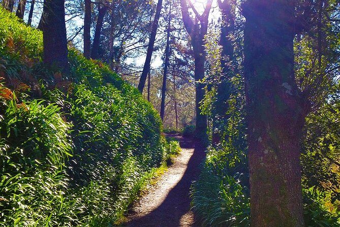 Paradise Valley - Levada Walk - Who should book this Levada Walk from Funchal