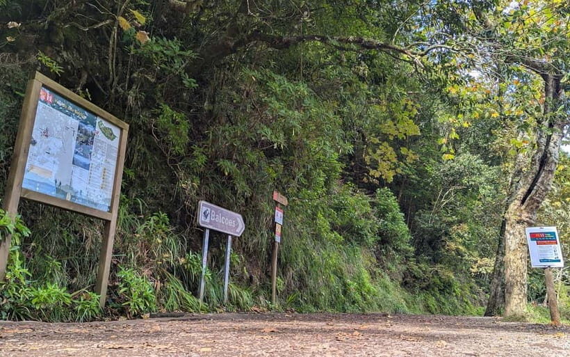 Pico do Arieiro in 4h: Immersive Private Experience (Cabrio) - Key things that make this tour worth your time