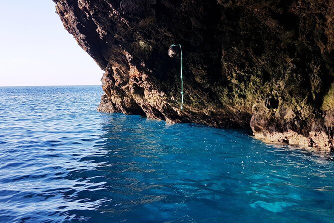 Ponta de São Lourenço Boat Tour - Price and time: is $39.16 worth it?