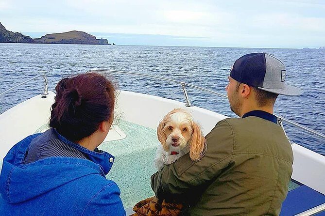 Ponta de São Lourenço Boat Tour - Safety and the boat feel: fast sensations, controlled ride