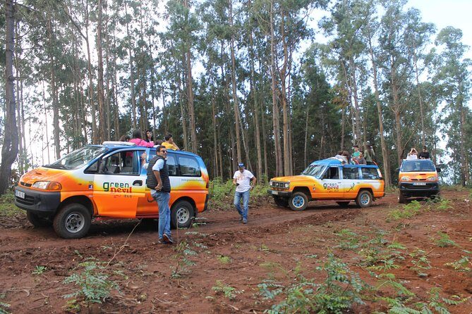 Porto Moniz 4x4 West tour - Vereda do Fanal: the levada-walk part of the day