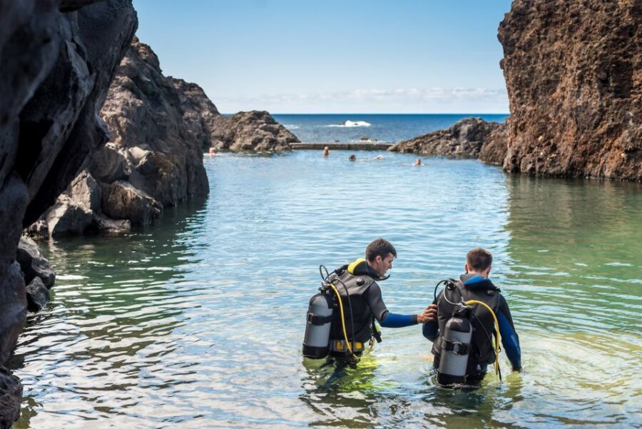 Porto Moniz: Diving with Sharks and Rays in Madeira Aquarium - Duration and pacing: how the 3 hours usually feel