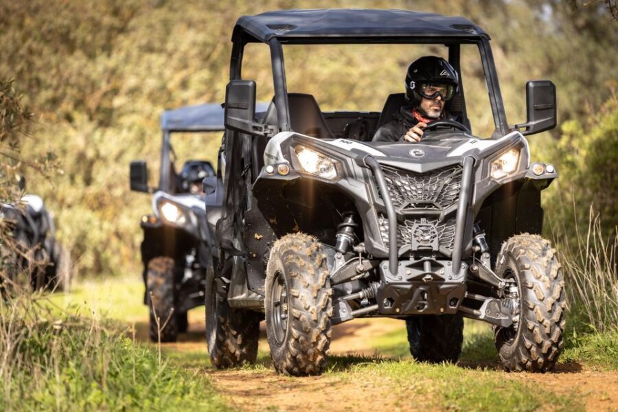 Porto Santo: 180 Minutes Off-Road Buggy Tour - Key Highlights You’ll Feel in the Moment