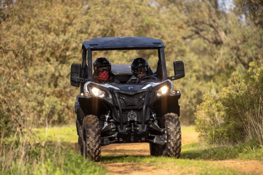 Porto Santo: 180 Minutes Off-Road Buggy Tour - Who Should Book This Off-Road Buggy Tour