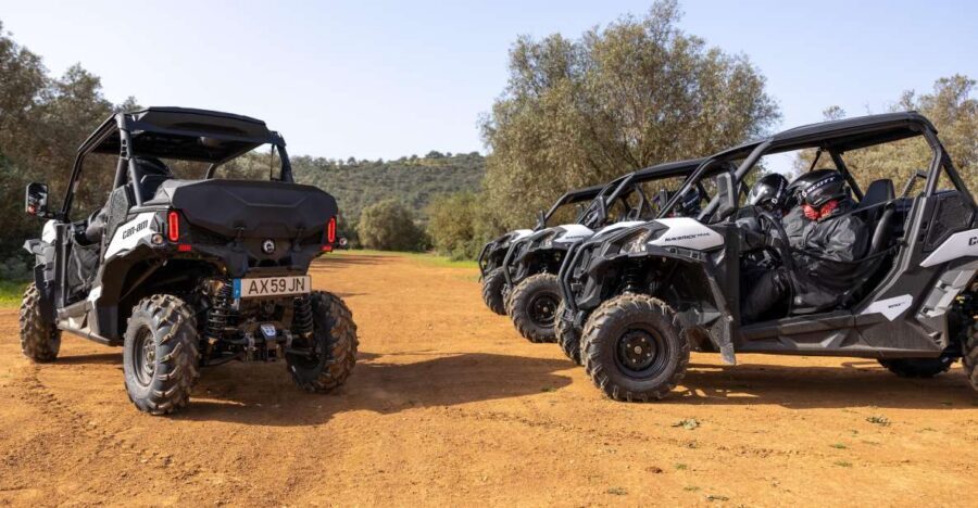 Porto Santo: 180 Minutes Off-Road Buggy Tour - First Impressions: Self-Driving Buggies with a Real Sense of Control