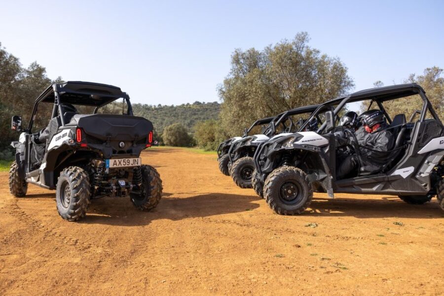 Porto Santo: 180 Minutes Off-Road Buggy Tour - Buggy Controls and the No-Race Rule (Yes, You’ll Still Have Fun)