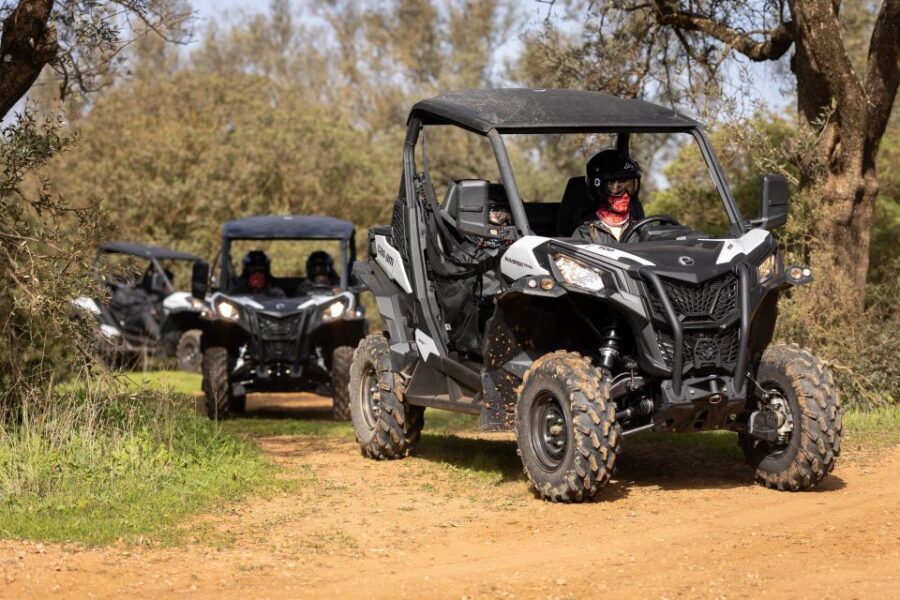 Porto Santo: 180 Minutes Off-Road Buggy Tour - What You’ll Want to Bring (Because No Food or Drink Is Included)