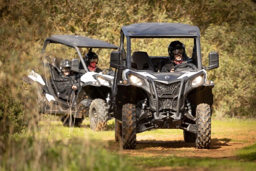 Porto Santo: 180 Minutes Off-Road Buggy Tour - Price and Value: $188 for a Group Up to 2