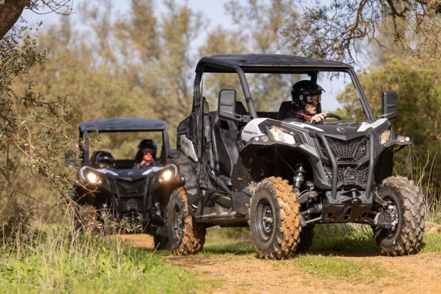 Porto Santo: 180 Minutes Off-Road Buggy Tour - Guides You’ll Hope You Get: Tiago and Martin Stand Out