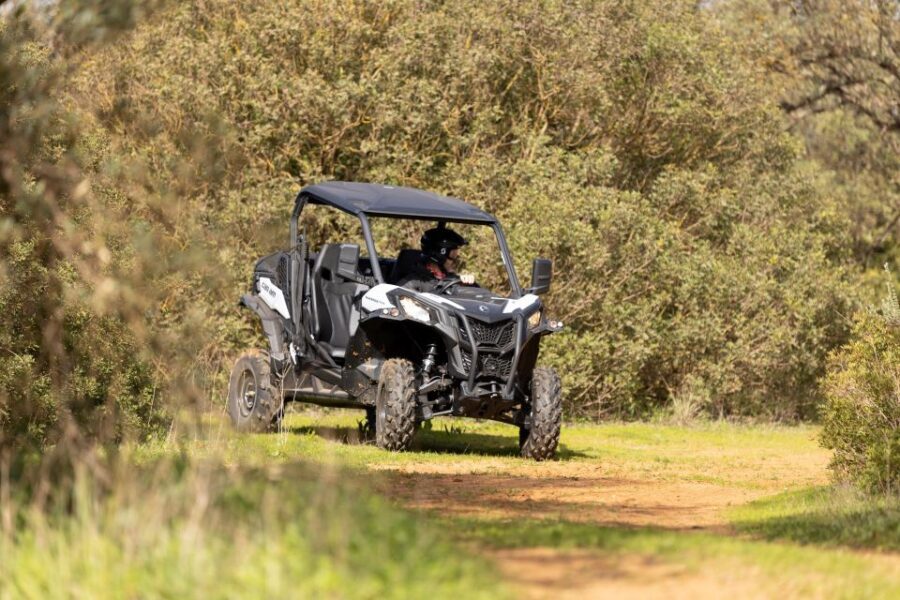 Porto Santo: 180 Minutes Off-Road Buggy Tour - The Big Picture: Why Porto Santo’s Mountains and Dunes Work So Well in One Tour