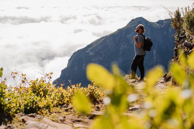 PR1 Pico do Arieiro Self-Guided Hiking Transfer (Morning slot) - Price and what you actually get for $38.55