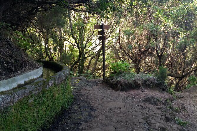 PR6 25 Fountains/Risco Levada Walk - Getting There Comfortably: Pickup, Drop-Off, and the Role of Luis