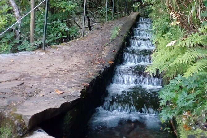 PR6 25 Fountains/Risco Levada Walk - From Rabaçal to the Levada: What Your Time on the Trail Looks Like