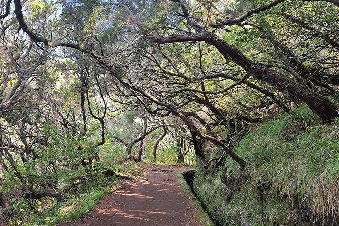 PR6 & PR6.1 25 Fontes & Risco Levada Self-Guided Hiking Rabaçal - Key highlights to know before you go