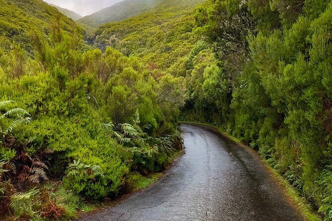 PR6 & PR6.1 25 Fontes & Risco Levada Self-Guided Hiking Rabaçal - Why early starts change everything on this trail