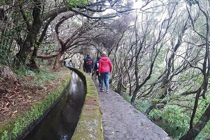 PR6 & PR6.1 25 Fontes & Risco Levada Self-Guided Hiking Rabaçal - The food and facilities reality check