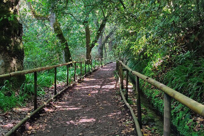 PR9 Caldeirão Verde Queimadas Levada Self-Guided Hiking Transfer - Quick highlights