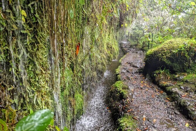 PR9 Caldeirão Verde Queimadas Levada Self-Guided Hiking Transfer - The main PR9 walk to Pico das Pedras: distance, elevation, and real pacing